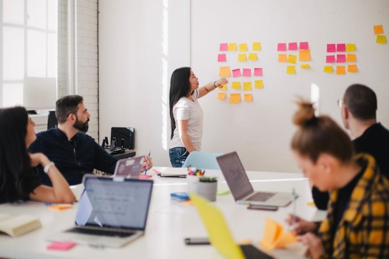Digital Agencies vs Real Programmers and IS Professionals